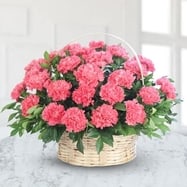 Carnation flower bouquet